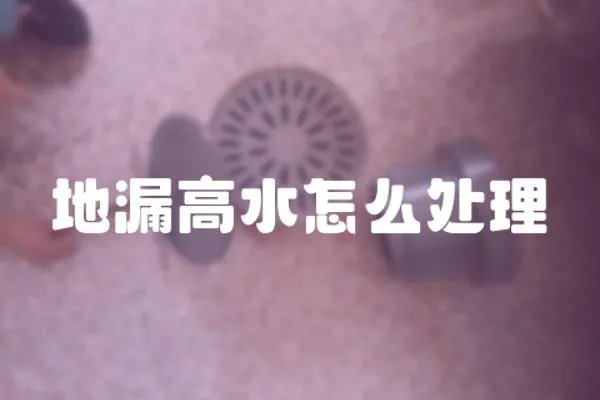 地漏高水怎么處理