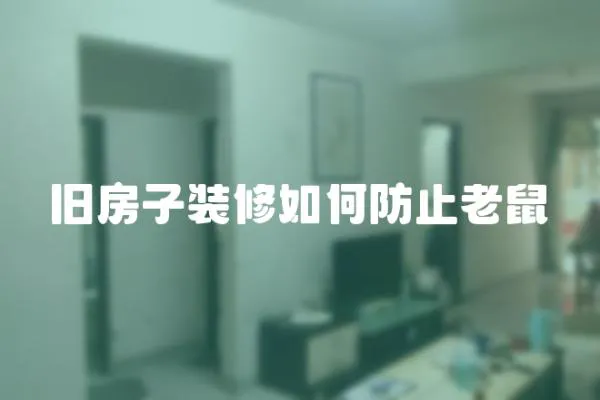 舊房子裝修如何防止老鼠