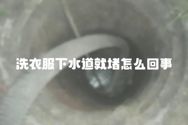 洗衣服下水道就堵怎么回事