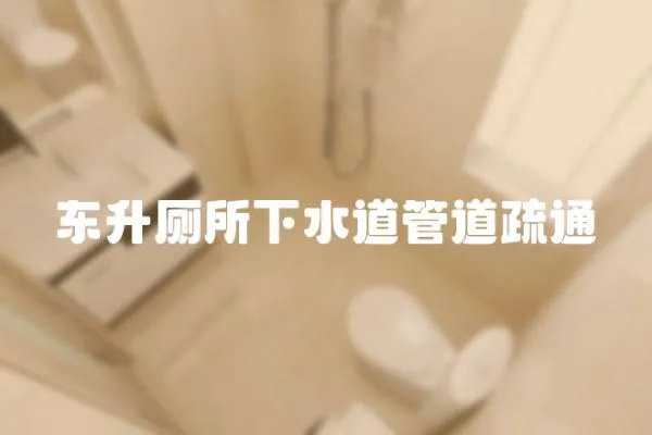 東升廁所下水道管道疏通