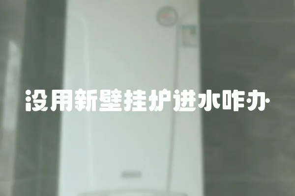 沒用新壁掛爐進水咋辦