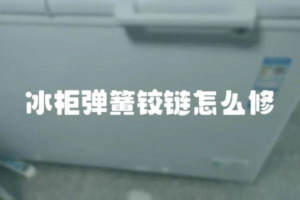冰柜彈簧鉸鏈怎么修
