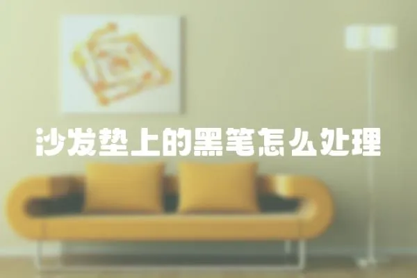 沙發墊上的黑筆怎么處理