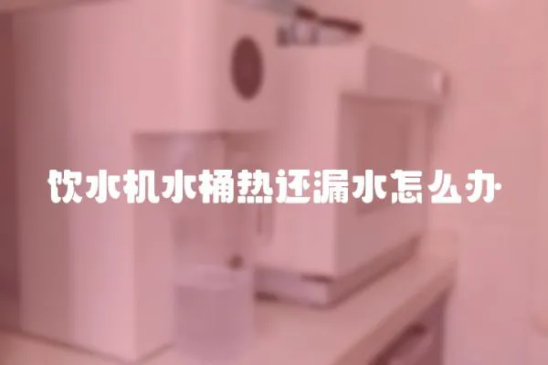 饮水机水桶热还漏水怎么办