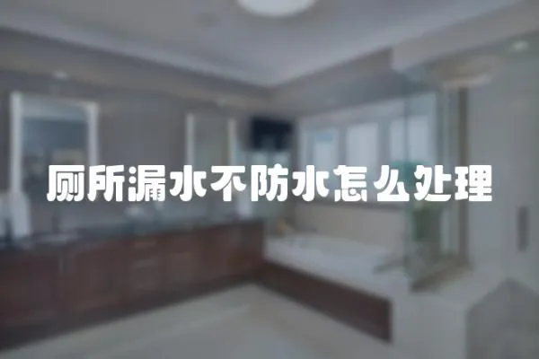 廁所漏水不防水怎么處理