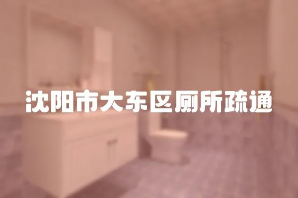 沈陽(yáng)市大東區(qū)廁所疏通