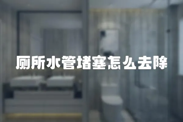廁所水管堵塞怎么去除