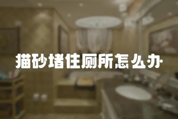 貓砂堵住廁所怎么辦