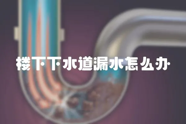 樓下下水道漏水怎么辦