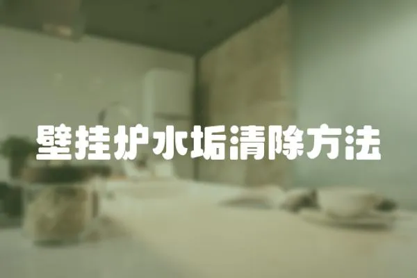 壁掛爐水垢清除方法