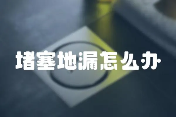 堵塞地漏怎么辦
