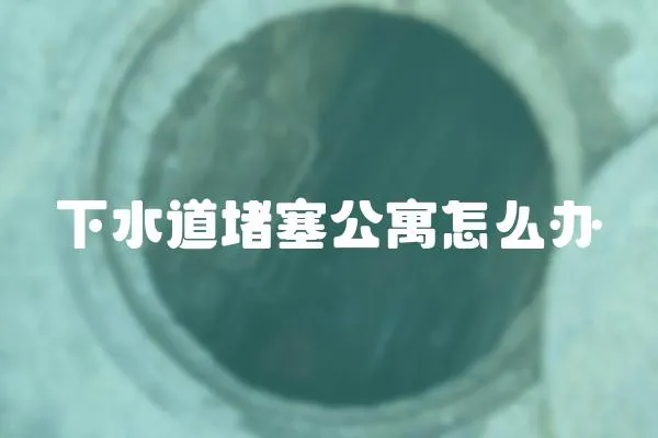 下水道堵塞公寓怎么辦