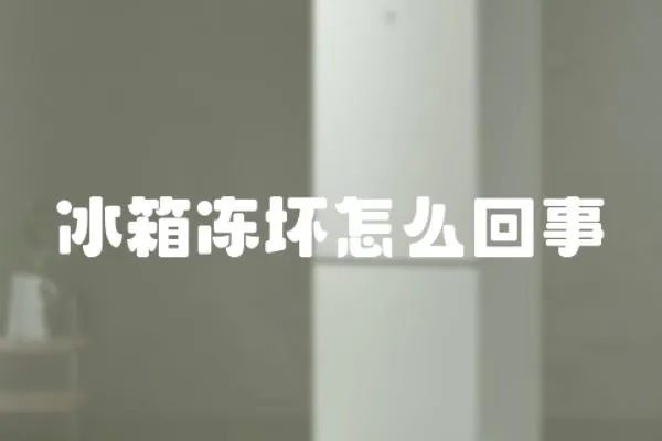 冰箱凍壞怎么回事