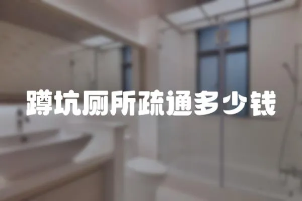 蹲坑廁所疏通多少錢