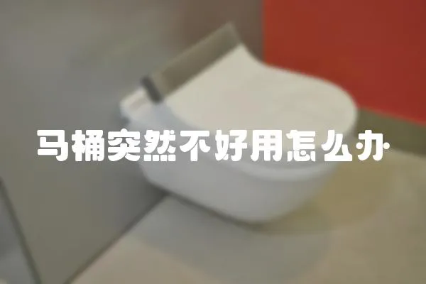馬桶突然不好用怎么辦