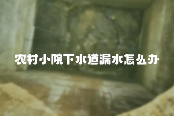 農村小院下水道漏水怎么辦