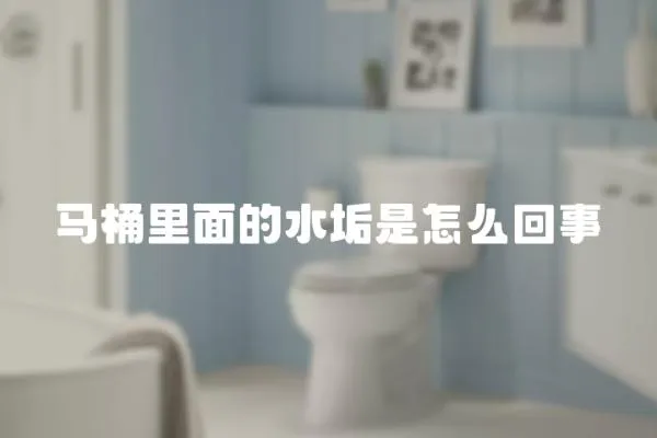 馬桶里面的水垢是怎么回事