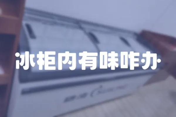 冰柜內有味咋辦
