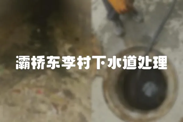 灞橋東李村下水道處理