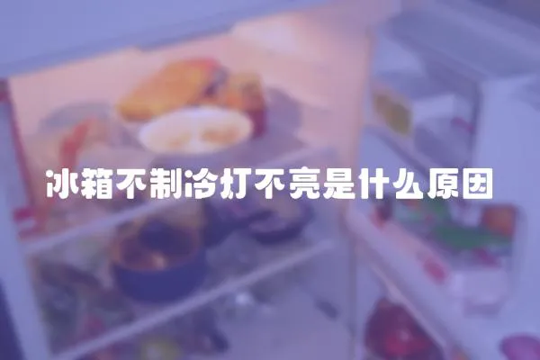 冰箱不制冷燈不亮是什么原因
