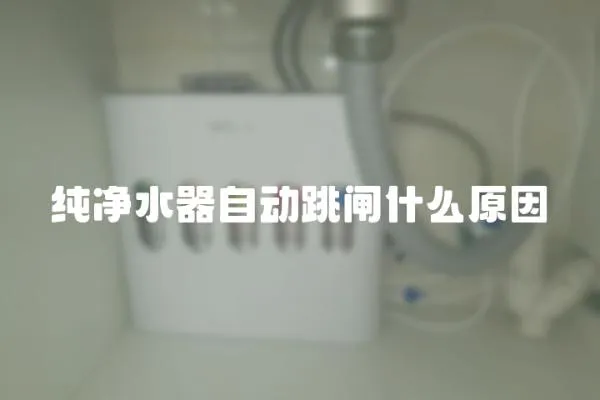 純凈水器自動(dòng)跳閘什么原因