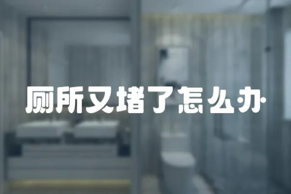 廁所又堵了怎么辦