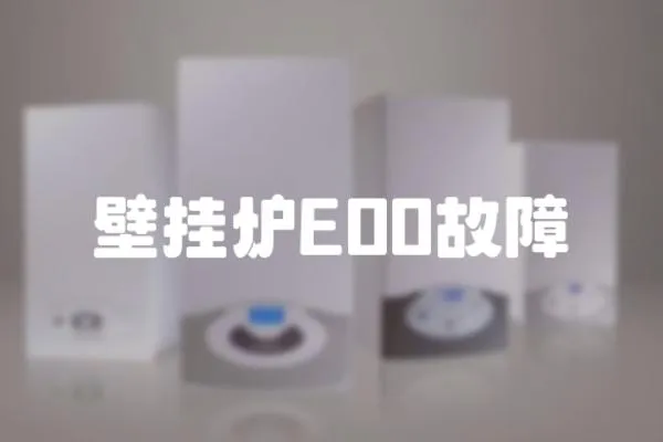 壁掛爐E00故障