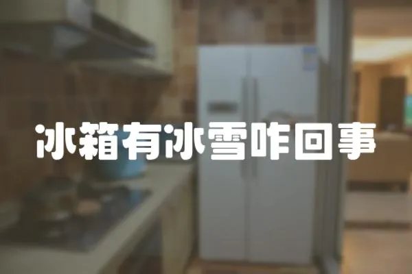 冰箱有冰雪咋回事