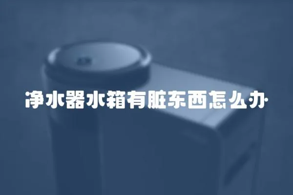 凈水器水箱有臟東西怎么辦