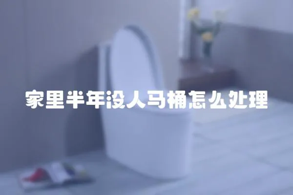家里半年沒人馬桶怎么處理