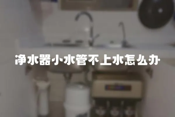 净水器小水管不上水怎么办