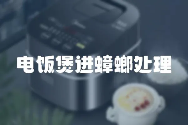 電飯煲進蟑螂處理