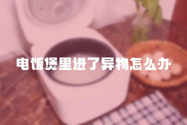 電飯煲里進了異物怎么辦