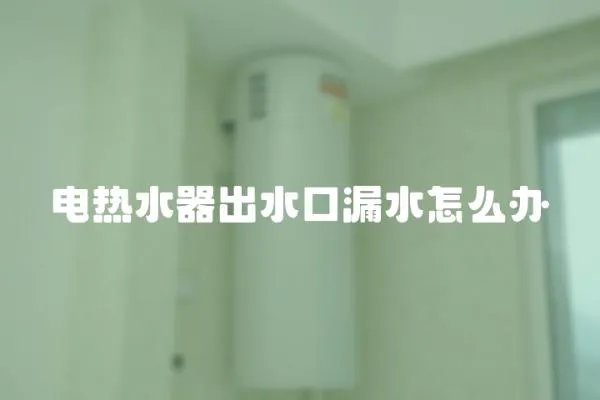 電熱水器出水口漏水怎么辦