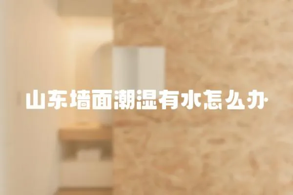山東墻面潮濕有水怎么辦