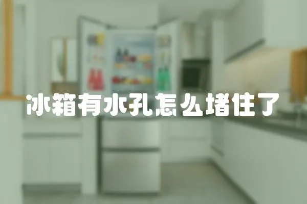 冰箱有水孔怎么堵住了