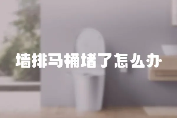 墻排馬桶堵了怎么辦