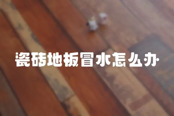 瓷磚地板冒水怎么辦