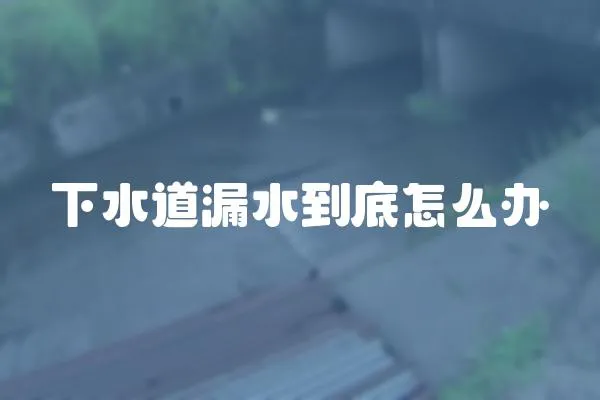 下水道漏水到底怎么辦