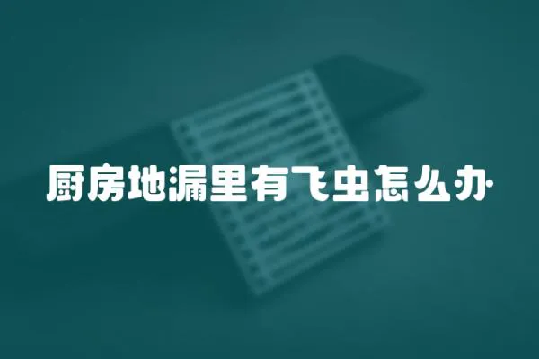 廚房地漏里有飛蟲怎么辦