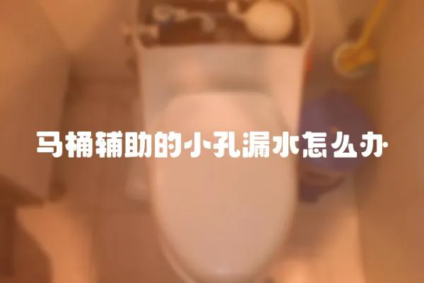 馬桶輔助的小孔漏水怎么辦