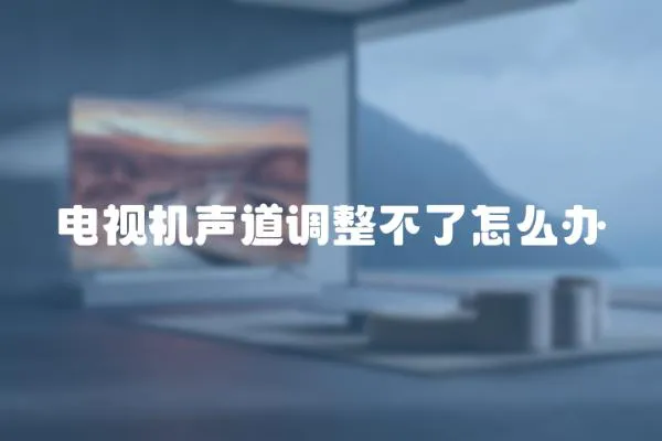 電視機(jī)聲道調(diào)整不了怎么辦
