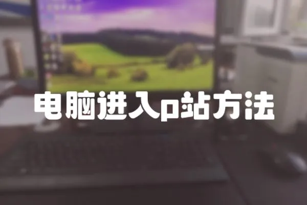 電腦進入p站方法