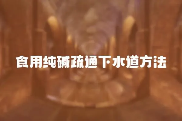 食用純堿疏通下水道方法
