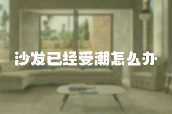 沙發已經受潮怎么辦