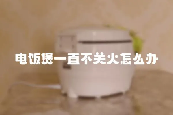 電飯煲一直不關火怎么辦