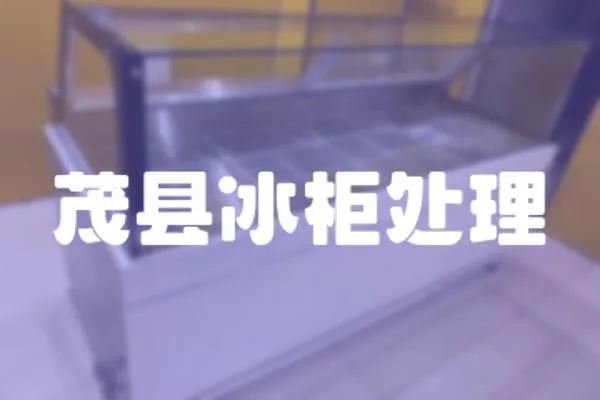茂縣冰柜處理