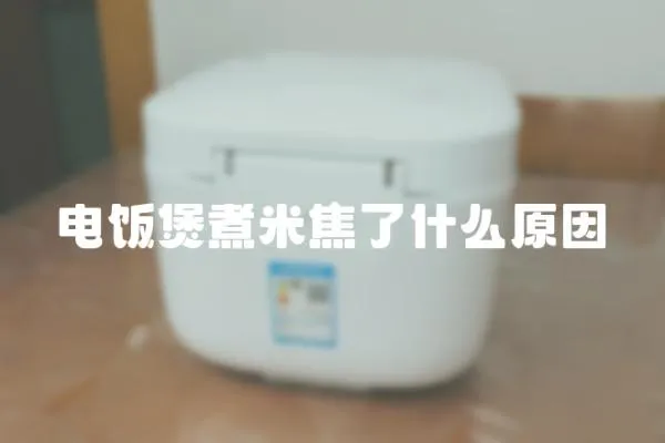 電飯煲煮米焦了什么原因