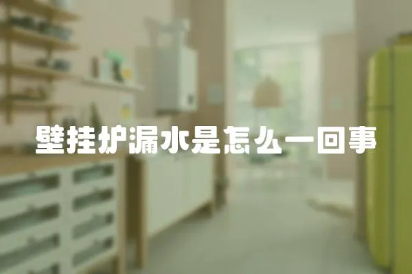 壁掛爐漏水是怎么一回事
