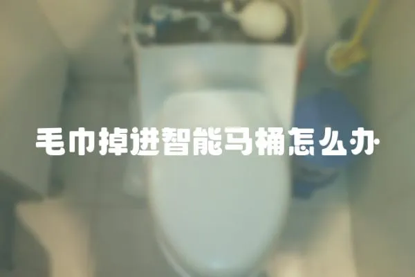 毛巾掉進智能馬桶怎么辦